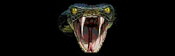 viper.gif